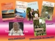 Catalogue