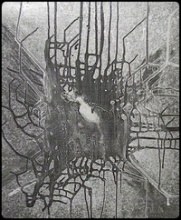 Neurone - Bookiner.com