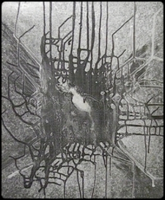 Neurone - Bookiner.com