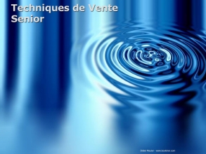 Techniques de vente - Bookiner.com