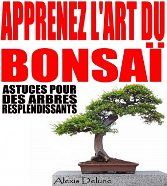 Art du Bonsaï - Bookiner