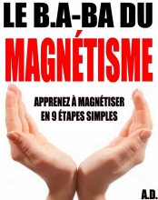 Magnétisme - Bookiner