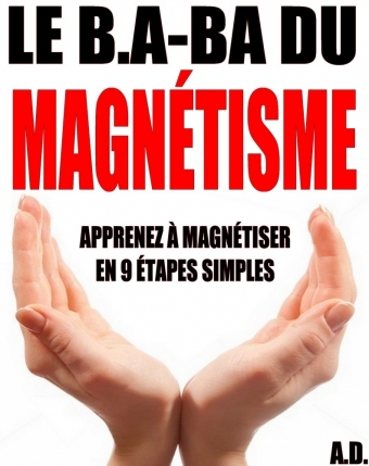Magnétisme - Bookiner