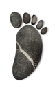 Logo Fanal